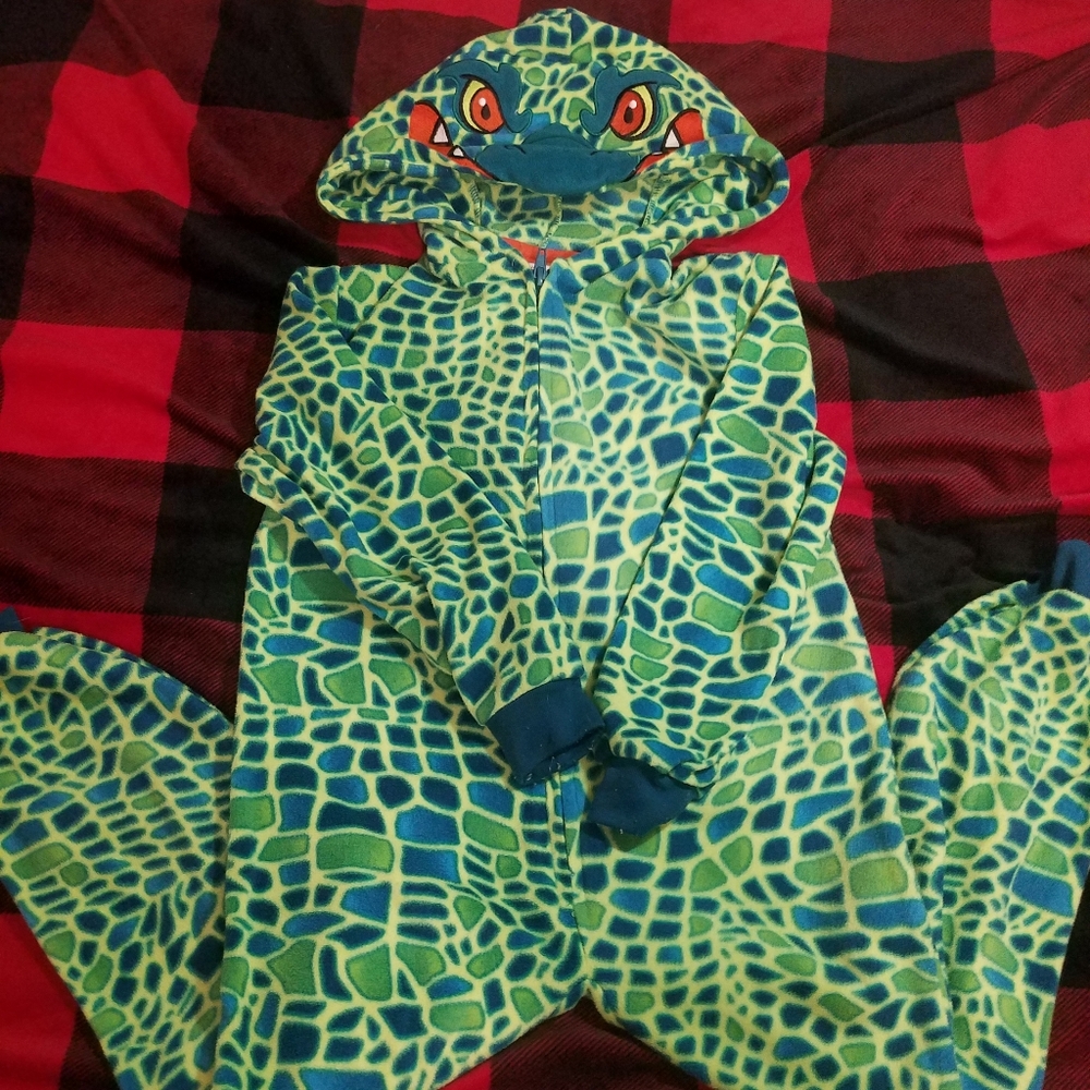 Dinosaur Zippered PJs